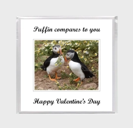 Puffin 21 Valentines Day 